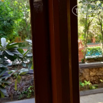 фото из отзыва ID 2657837