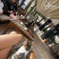 фото из отзыва ID 2657848