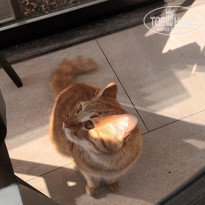 фото из отзыва ID 2657878