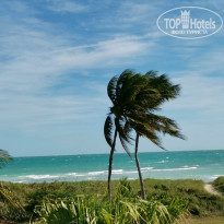 фото из отзыва ID 2657929