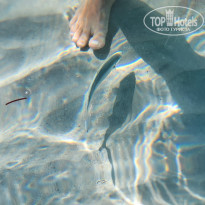 фото из отзыва ID 2657929