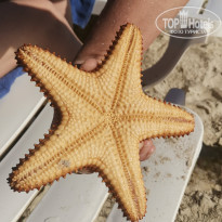 фото из отзыва ID 2657929