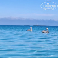 фото из отзыва ID 2657929