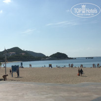 фото из отзыва ID 2657946