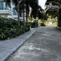 фото из отзыва ID 2657947