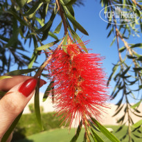 фото из отзыва ID 2657999
