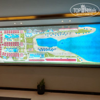 фото из отзыва ID 2658018