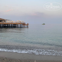 фото из отзыва ID 2658013