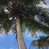 фото из отзыва ID 2658026