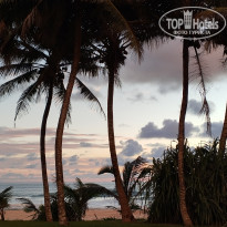 фото из отзыва ID 2658026