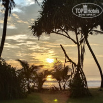 фото из отзыва ID 2658026