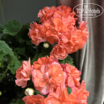 фото из отзыва ID 2658060