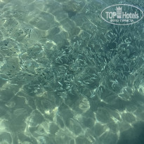 фото из отзыва ID 2658068