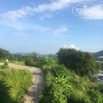 фото из отзыва ID 2658073