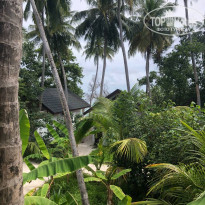 фото из отзыва ID 2658101