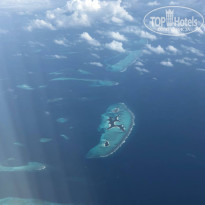 фото из отзыва ID 2658101