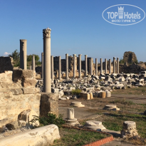 фото из отзыва ID 2658099