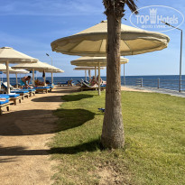 фото из отзыва ID 2658119