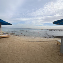 фото из отзыва ID 2658119