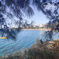 фото из отзыва ID 2658093