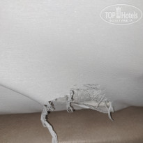 фото из отзыва ID 2658195