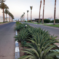 фото из отзыва ID 2658203