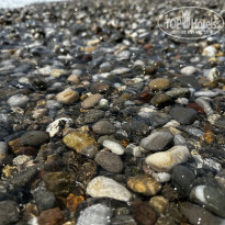 фото из отзыва ID 2658192