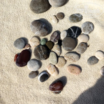 фото из отзыва ID 2658252