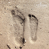 фото из отзыва ID 2658252