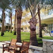 фото из отзыва ID 2658270