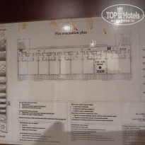 фото из отзыва ID 2658270