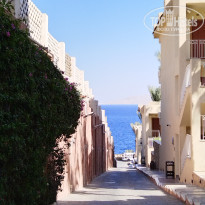 фото из отзыва ID 2658270