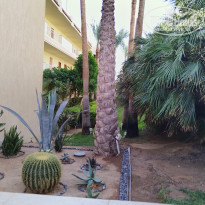 фото из отзыва ID 2658270