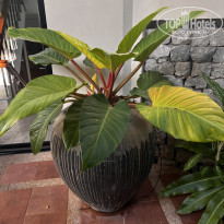 фото из отзыва ID 2658330