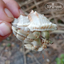 фото из отзыва ID 2658358