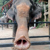 фото из отзыва ID 2658358