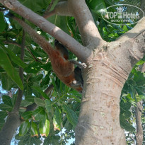 фото из отзыва ID 2658358