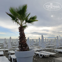 фото из отзыва ID 2658406