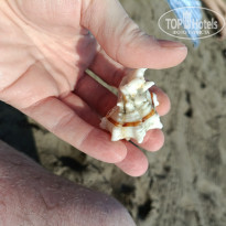 фото из отзыва ID 2658320