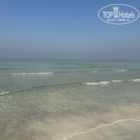 фото из отзыва ID 2658428