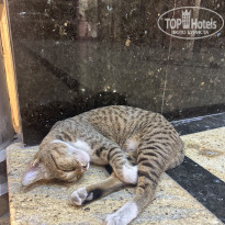 фото из отзыва ID 2658428