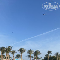 фото из отзыва ID 2658439