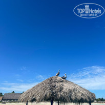 фото из отзыва ID 2658456