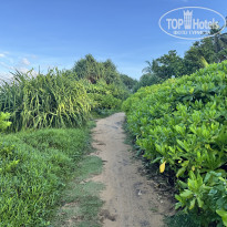 фото из отзыва ID 2658537