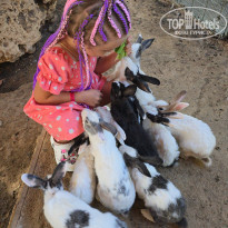 фото из отзыва ID 2658530