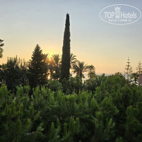 фото из отзыва ID 2658530