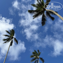 фото из отзыва ID 2658740