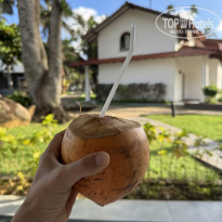 фото из отзыва ID 2658740