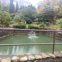 фото из отзыва ID 2658747