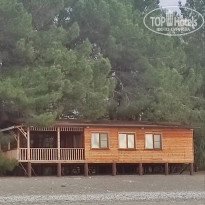 фото из отзыва ID 2658798